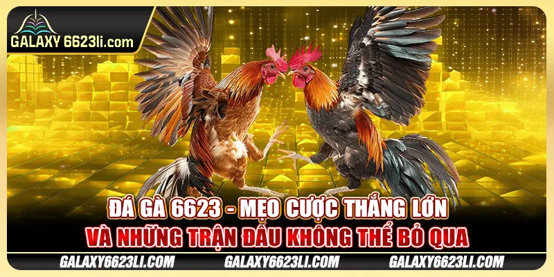 Đá Gà 6623 - Mẹo Cược Thắng Lớn Và Những Trận Đấu Không Thể Bỏ Qua