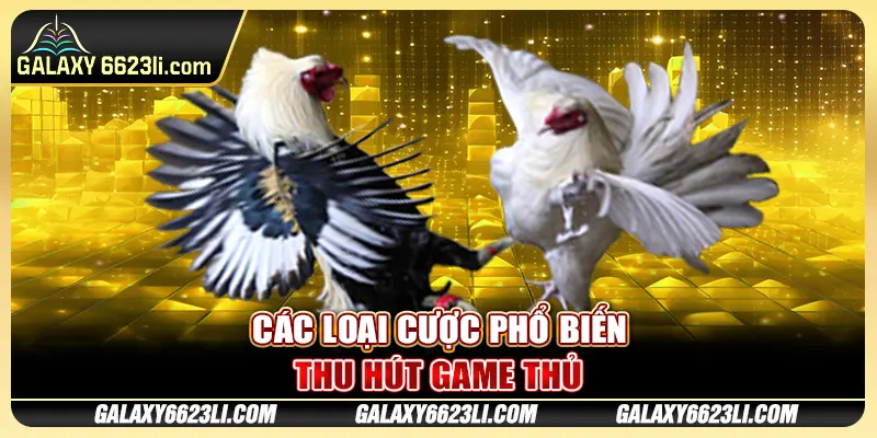 Các loại cược phổ biến thu hút game thủ