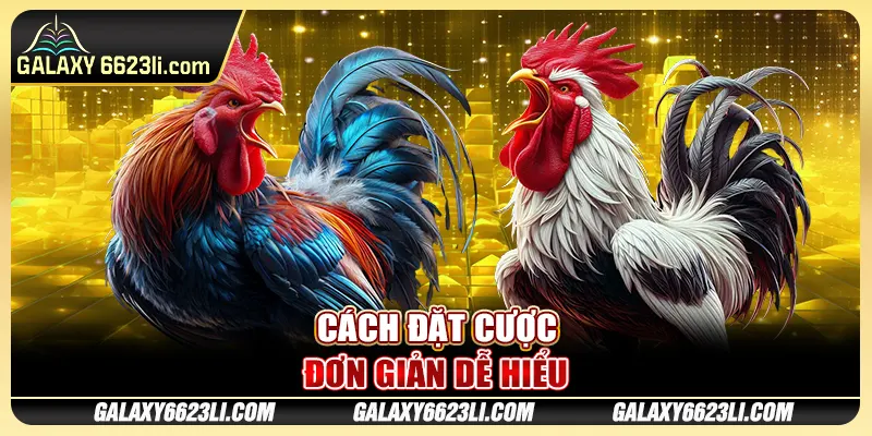 Cách đặt cược đơn giản dễ hiểu