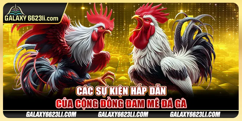 Các sự kiện hấp dẫn của cộng đồng đam mê đá gà